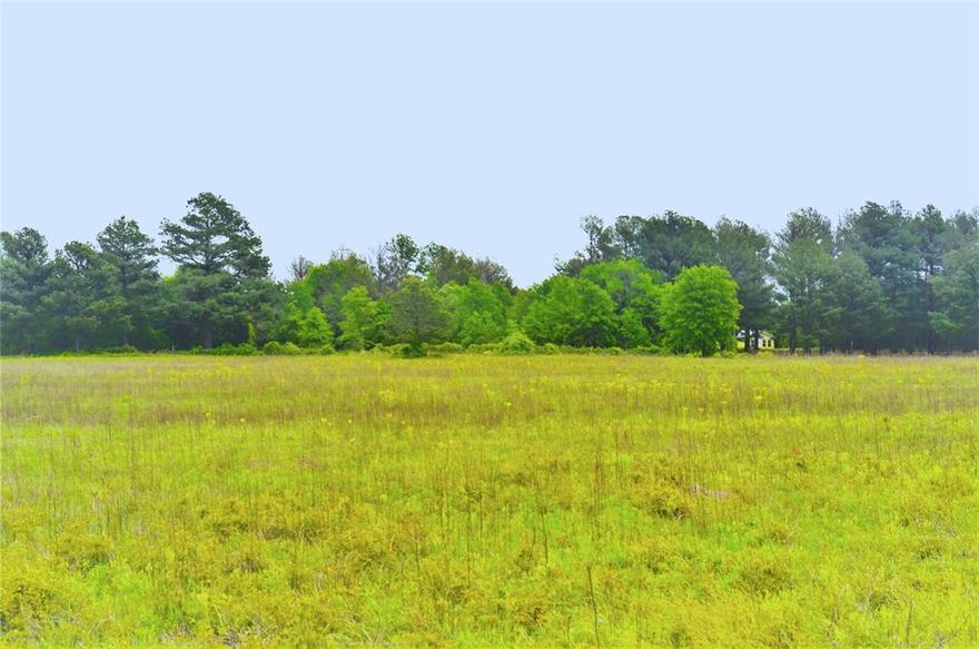 Nestled near the serene countryside of Poolville, Texas, lies this remarkable 2.15-acre lot, quietly tucked away on a tranquil cul-de-sac. This remarkable flat lot is easy to build your dream home and offers pastorial views and a pine tree lined back property line for additional privacy.  This community offers no pressure on when to start your building process since that is not a requirement and also choose your own builder is a huge advantage. Positioned within the gated community of The Reserve at Shadle, tranquility and security are paramount here. Residents relish in the peace and privacy afforded by this exclusive enclave, where the sounds of nature are the only interruption to the stillness and serenity you will find here. For families, Poolville Independent School District offers an exceptional educational experience and high graduation rate ensuring that children receive top-tier schooling without sacrificing the comforts of rural living.
