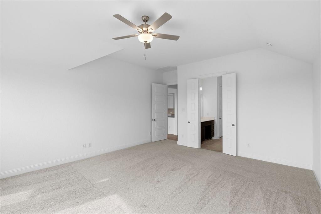 Painted Tree - Residential