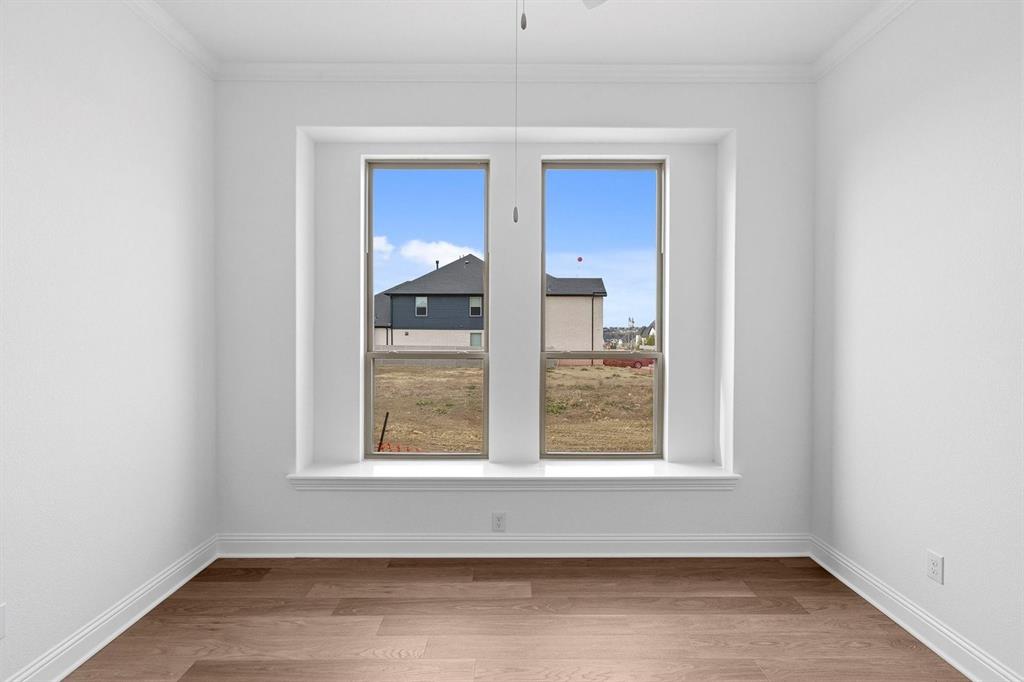 Painted Tree - Residential