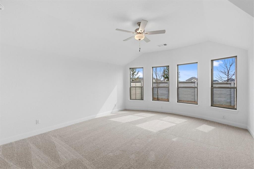 Painted Tree - Residential