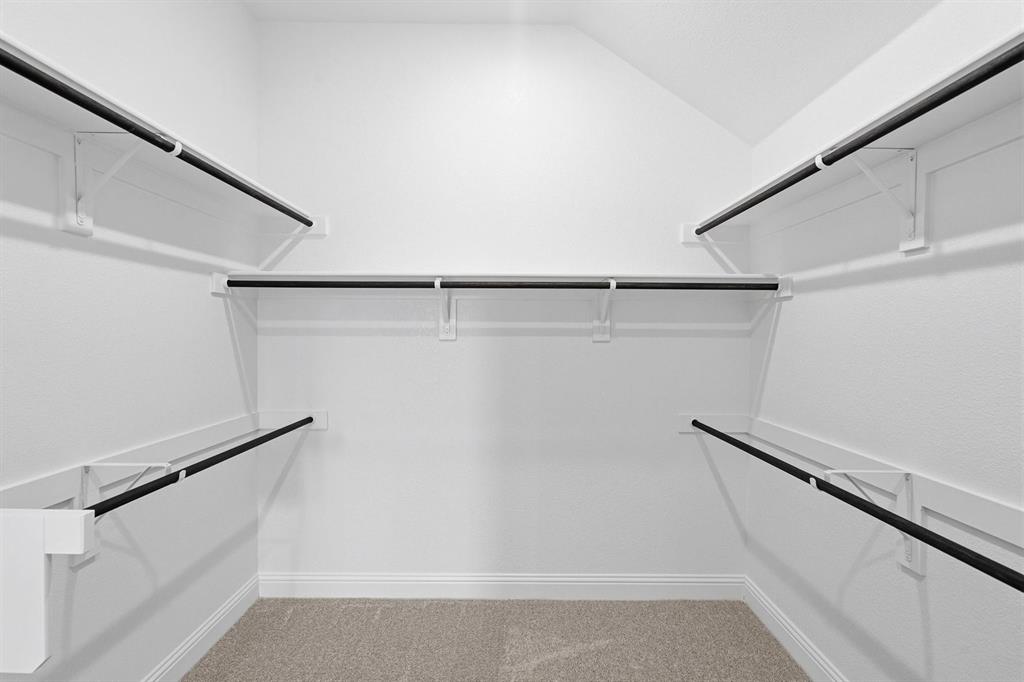 Painted Tree - Residential