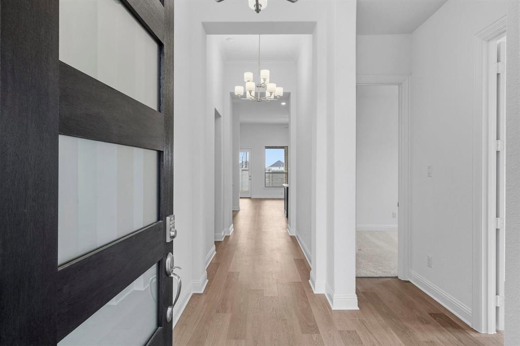 Painted Tree - Residential