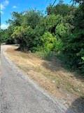 4203 Cree Trail