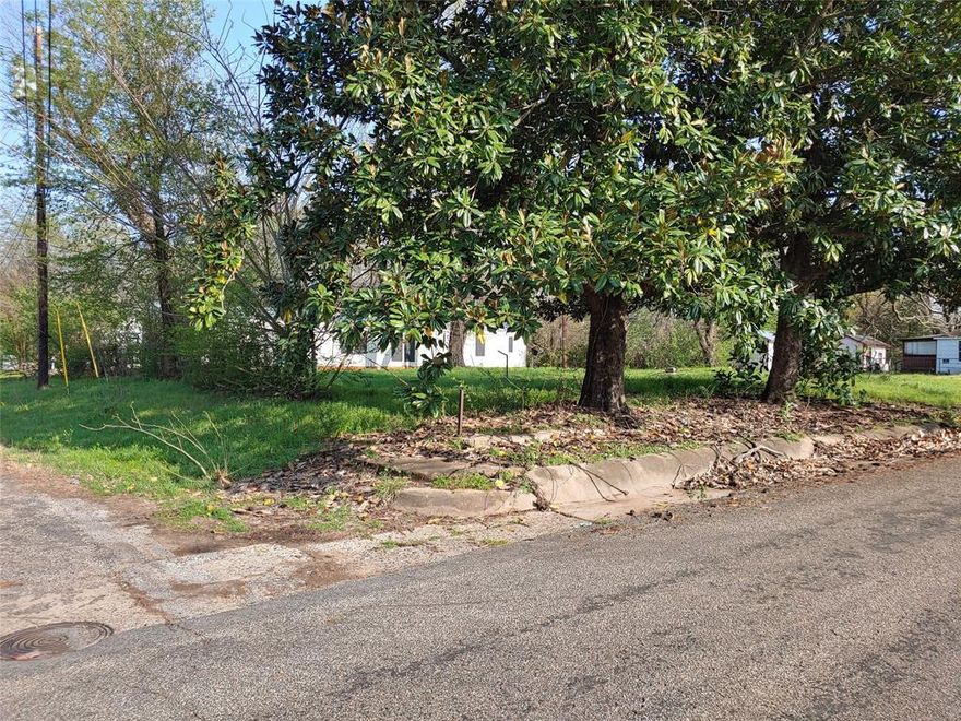 Large vacant lot with investment potential or build your own home.  Some mature trees at corner of Fairfax and 11th NE.