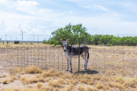 Tiny photo for 11599 E Fm 1606, Hermleigh, TX 79526 (MLS # 21396132)