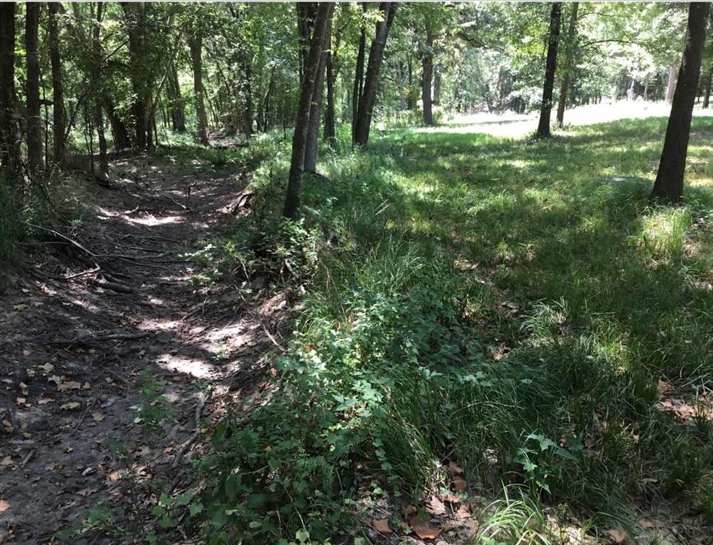 Thomas Stokeley Surv Abs #446 - Land