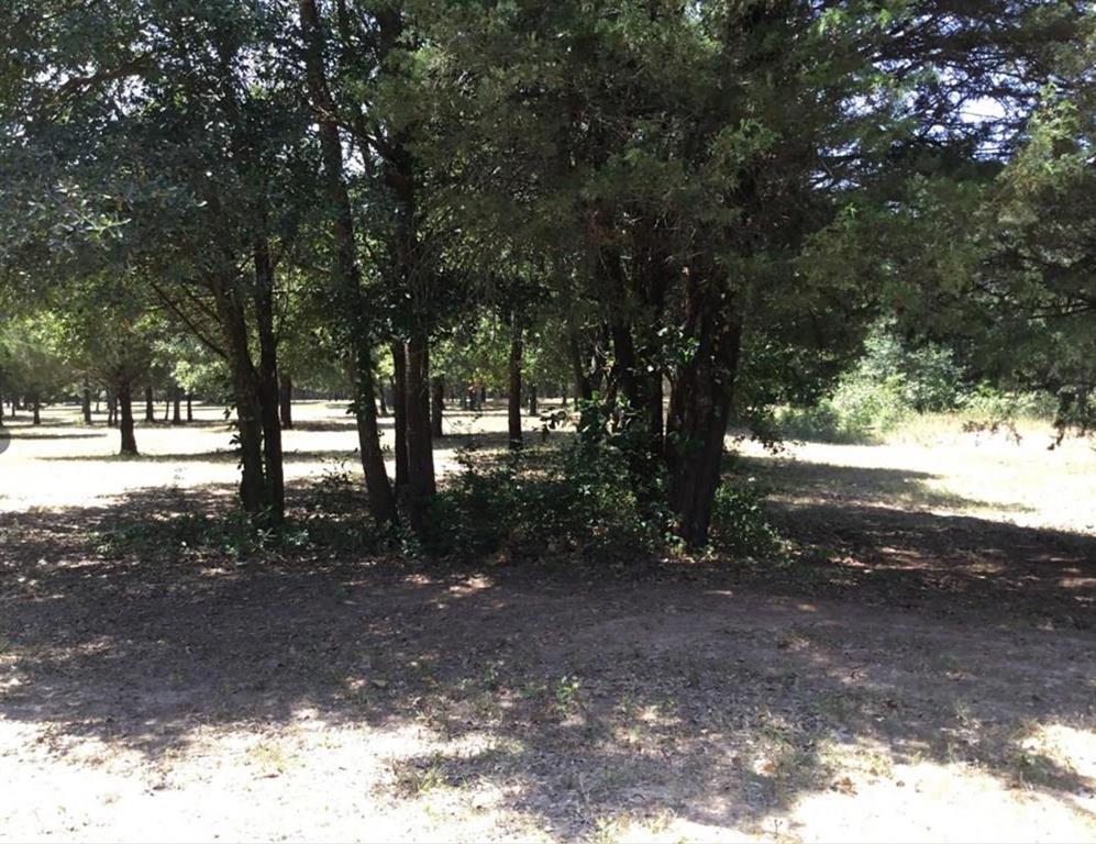 Thomas Stokeley Surv Abs #446 - Land