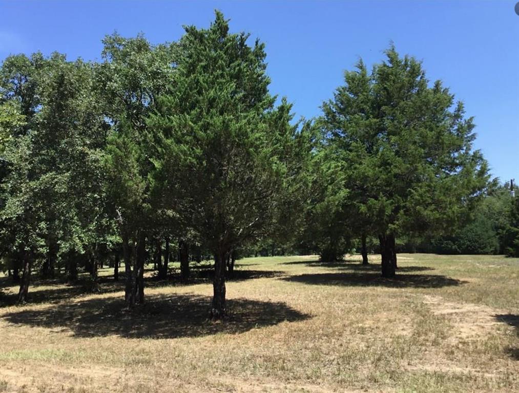 Thomas Stokeley Surv Abs #446 - Land