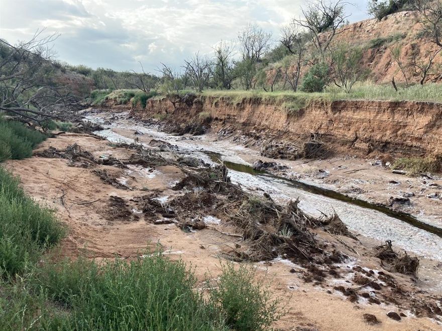 TWIN CANYON RANCH is 369.5 Breathtaking HUNTING RANCH that offers prime acreage for grazing and foraging for the Whitetail deer, hogs, turkey, dove, quail and so many other species of wildlife.  This Ranch offers the best of everything from the beautiful canyon's to 100 acres of native grassland and trees for bedding.  There is Co-op Electricity and Community Water ON SITE that run approximately 1200 feet to the campsite.