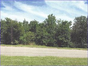 . - Commercial Lease