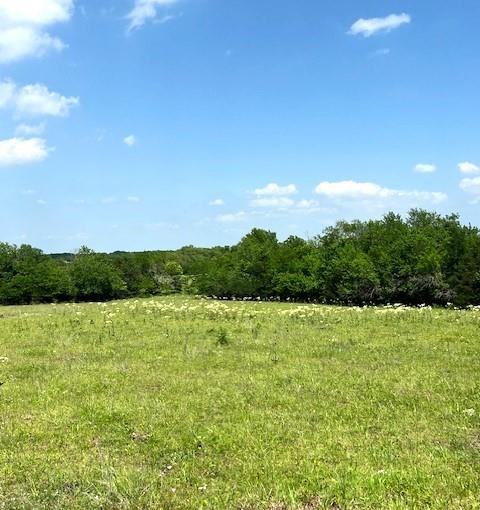 tbd CR 663