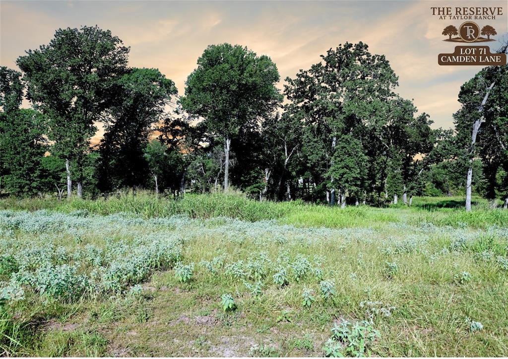 Lot 71 Camden Lane