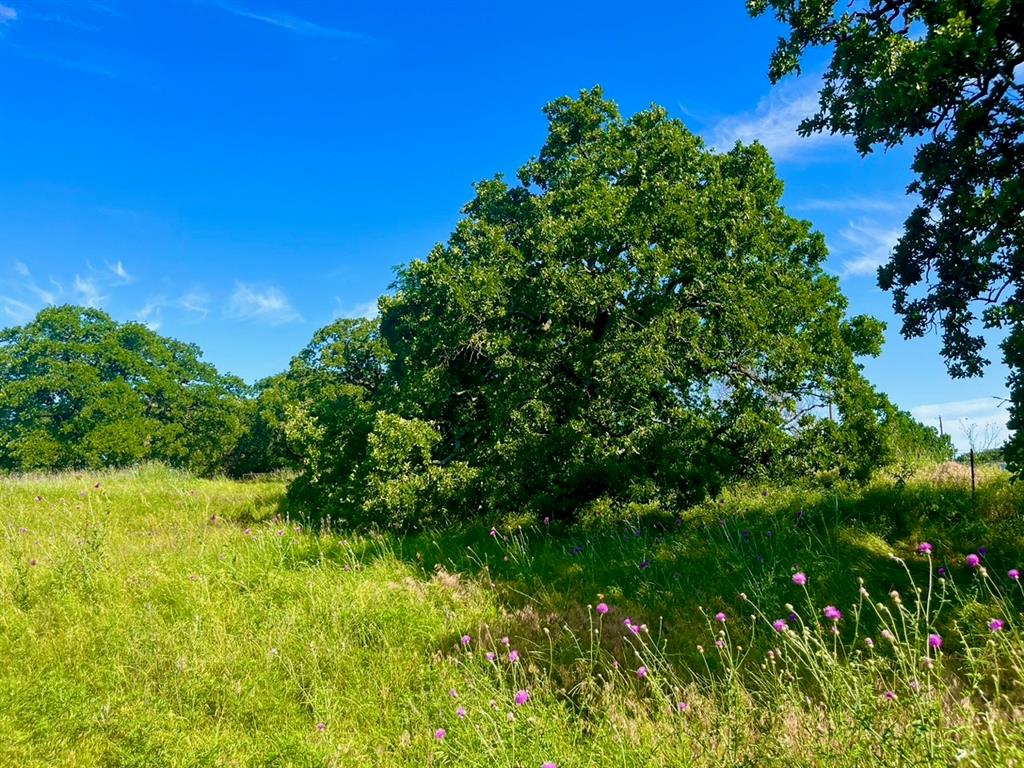 Sarra Ranch Estates - Land