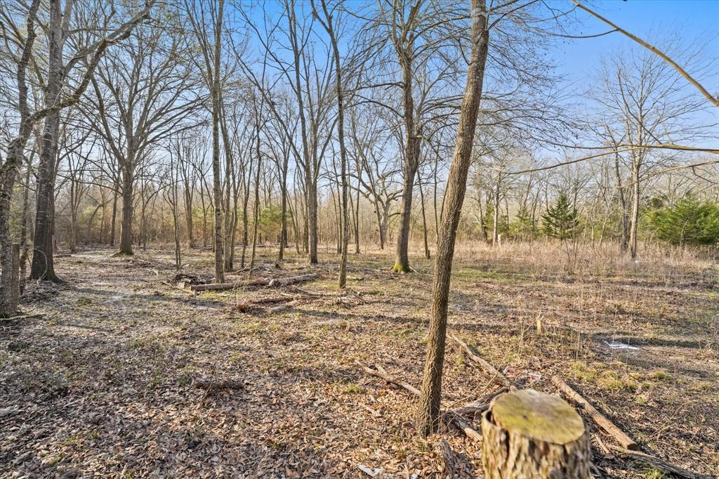 Porter Juliet - Land