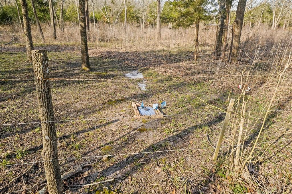 Porter Juliet - Land