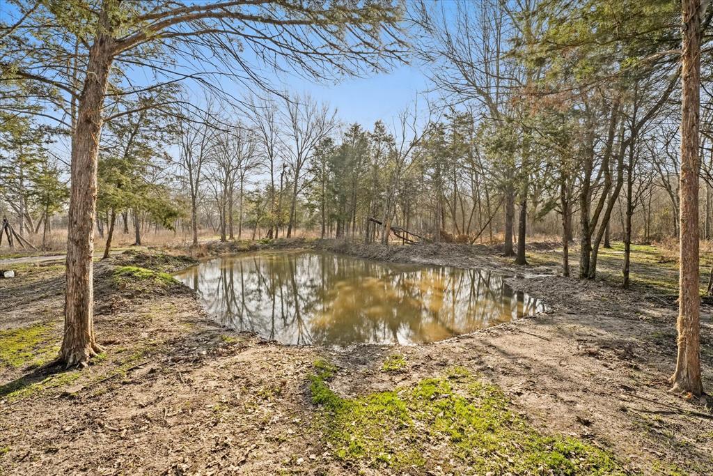 Porter Juliet - Land