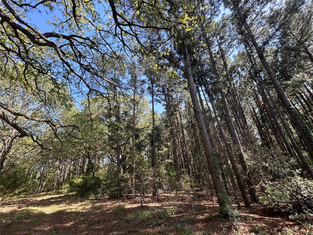 TBD 2303 An County Road