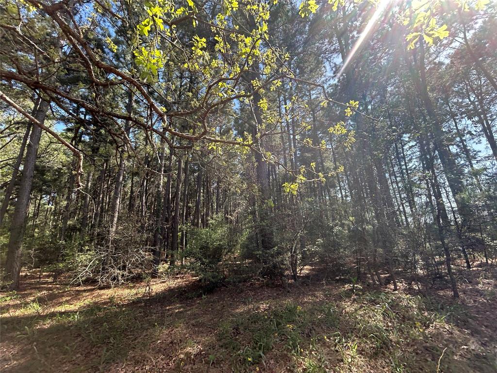 TBD 2303 An County Road