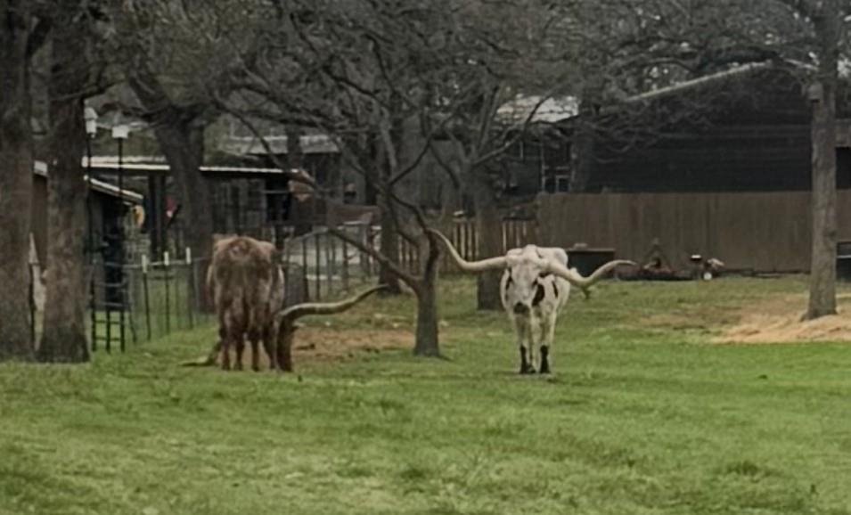 Hidden Vistas Ph 8 - Residential