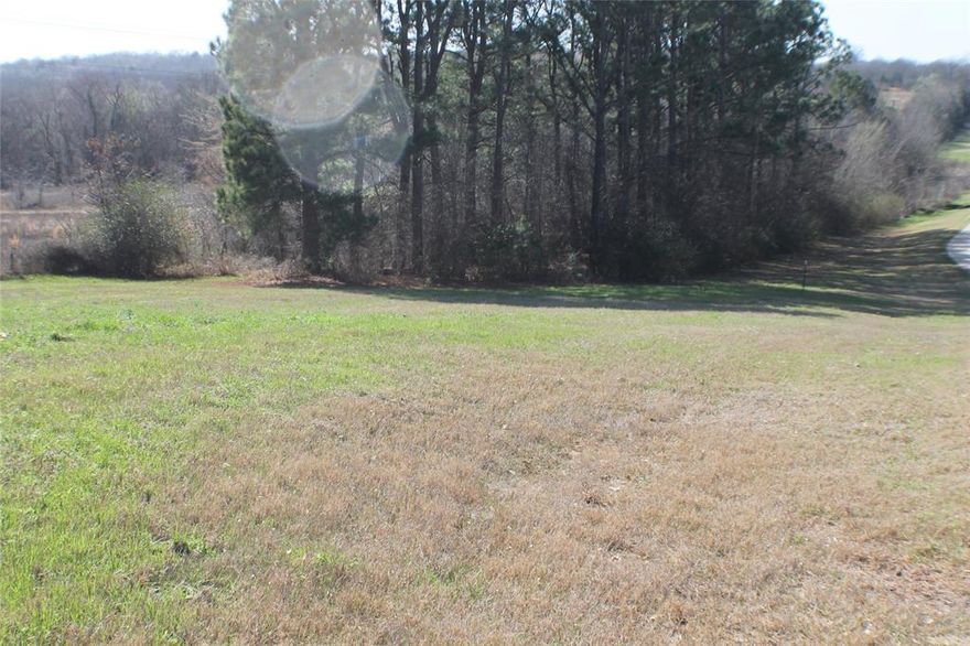 Discover the perfect place to build your dream home on this beautiful 2-acre tract in Phase II of Waters Edge, a premier gated community in Athens. Ideally located less than a mile from the community amenities, you’ll enjoy easy access to the pool, pickleball courts, private boat ramp, and RV campground—everything you need for outdoor fun.

This property offers added privacy as it backs up to 179 acres owned by Sand Springs Church, giving you a peaceful, open backdrop with no immediate rear neighbors.

Waters Edge is known for its well-maintained streets, scenic surroundings, and low HOA fees, all while providing resort-style, well maintained  amenities.

Even better, this property is priced well under Henderson County Appraisal District market value, making it an exceptional opportunity for buyers ready to build in a sought-after community.

Whether you're planning your forever home or a weekend retreat, this lot offers the space, location, and value to bring your vision to life.