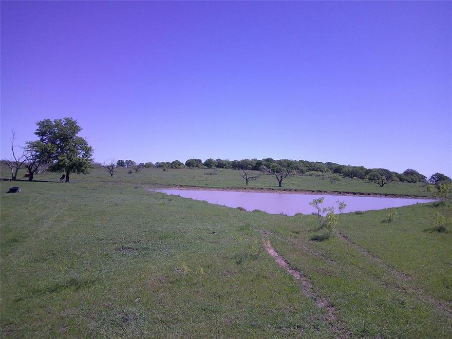 Yes you can own a piece of Texas with Minerals!! What a beautiful 54 ac  tract of land overloooking the north Texas hill country. The perfect recreational tract of land to call home with minimal restrictions, no mobiles, no mfg homes, site built only.This tract features pond, small hill with mature trees and open pasture for the cattle. Come out and pick the tract of land that suits you best. Electricity available, in area of good water wells, property under ag for low taxes and just a short drive back to town. Look at plat in pictures of other tracts available.Partial minerals do convey!