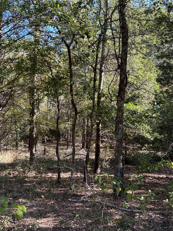 Forest Grove Sub Ph 1 - Land