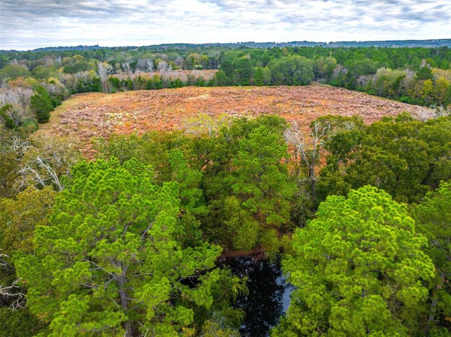 Nestled just northeast of Elkhart in southern Anderson Co TX, this 29.73-ac tract offers a unique blend of privacy, versatility, and natural beauty. Fronting along the northern boundary of ACR 163, also known as Blue Ribbon Road, this vacant property is a perfect canvas for your dream homestead or recreational retreat. Its balanced mix of open pastures and wooded areas provides a secluded and serene setting while maintaining excellent access to nearby conveniences.

The property features a thoughtful layout with approximately half open and half wooded terrain. A remarkable feature is the wooded perimeter that creates a natural privacy buffer from neighbors and the roadway. Inside, the open areas comprise three interior pastures: a 2.5-ac front pasture, an 8-ac middle pasture, and a 4-ac rear pasture. Each pasture is framed by timber buffers, adding to the property’s homesite appeal and offering an ideal balance of seclusion and functionality.  

The topography is gently rolling, with elevations ranging from 380 to 410 feet above sea level, providing picturesque views and drainage. A small pond nestled between the front two pastures, surrounded by hardwood trees, enhances the property’s aesthetic and utility. Timber includes a mature mix of hardwoods in the front and pine in the rear, offering both beauty and practicality for future use.

This property boasts a diverse ecosystem typical of Anderson County. Grasses such as Bahia and Bermuda flourish in the open pastures, making it suitable for grazing or hay production.  Currently, the pastures are overgrown with native weeds but could easily be converted for your desired use whether that is agricultural or wildlife in nature. The wooded areas are rich in native trees, including oaks, elms, and pines. Wildlife enthusiasts will appreciate the abundance of deer, squirrels, and songbirds that frequent the area, while the pond may attract ducks and other waterfowl.