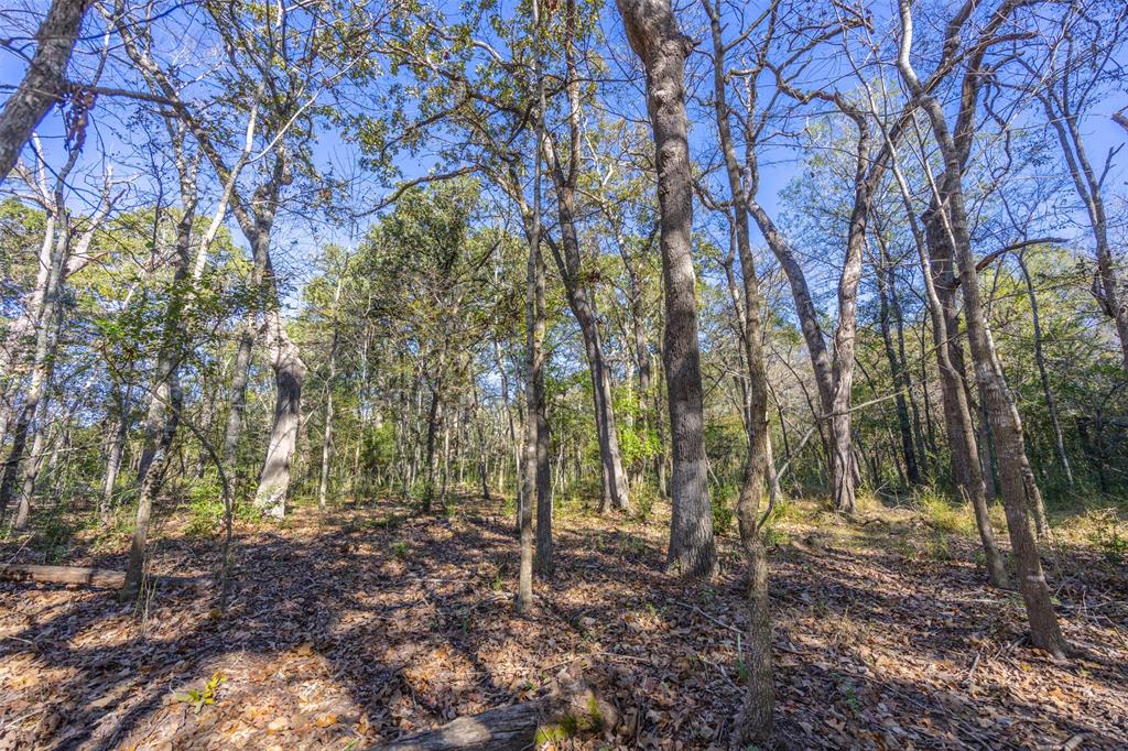 00 Anderson County Road 163