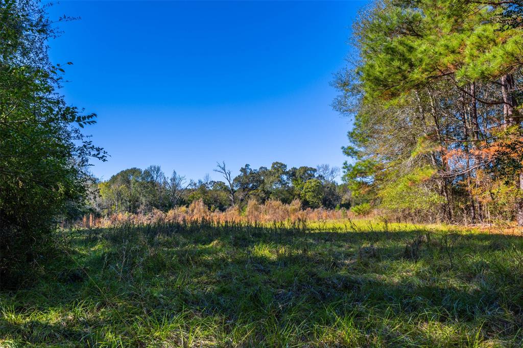 00 Anderson County Road 163