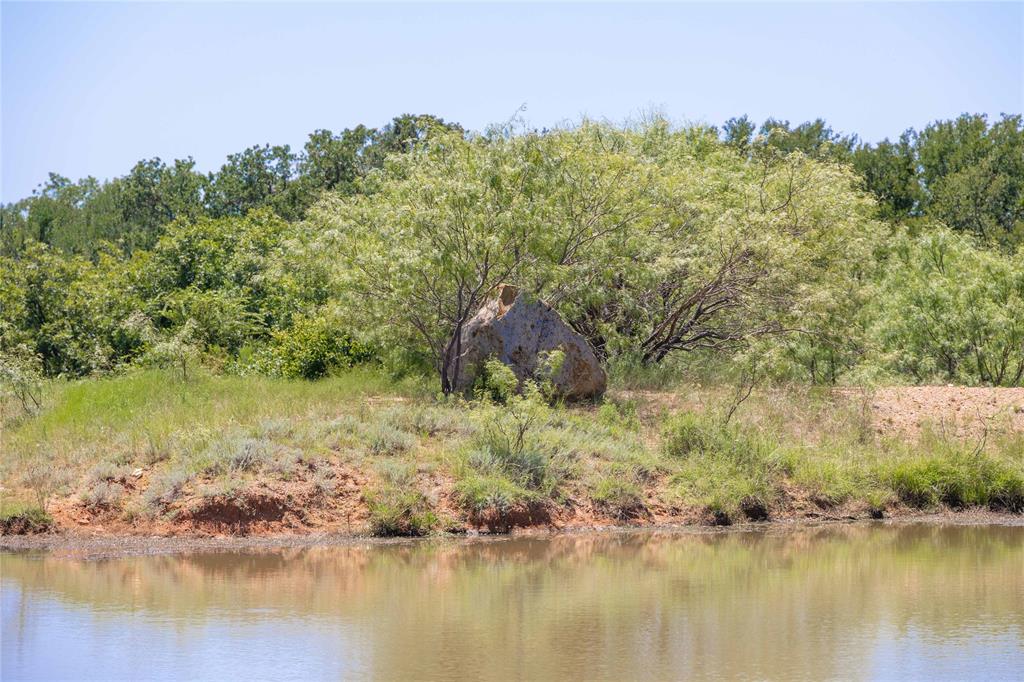 Wolfe Pecanlands Dev 40 - Land