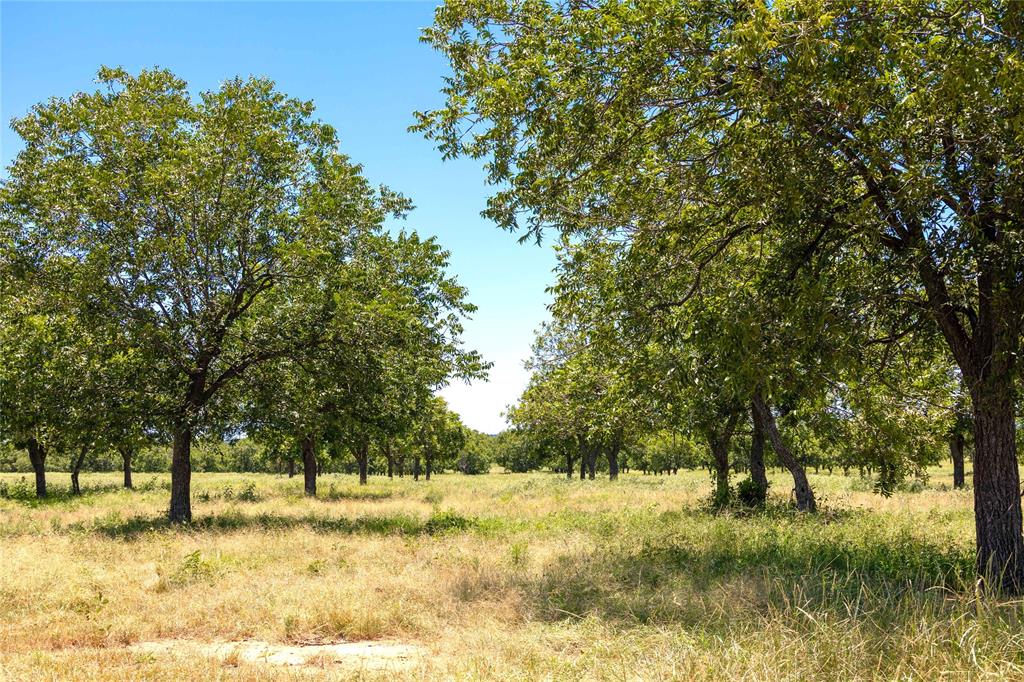 Wolfe Pecanlands Dev 40 - Land