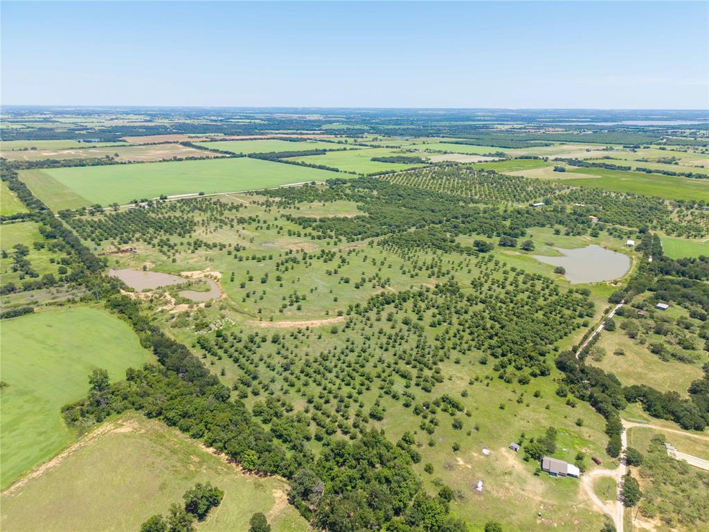 Wolfe Pecanlands Dev 40 - Land