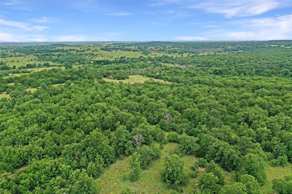 214.68 Acres E. Truce Road
