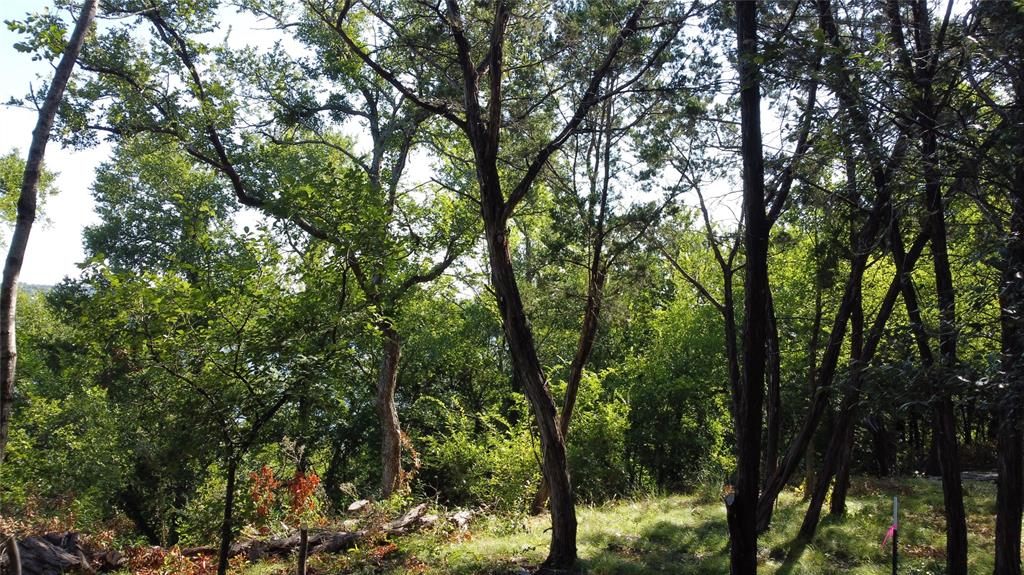 Canyon Creek II - Land