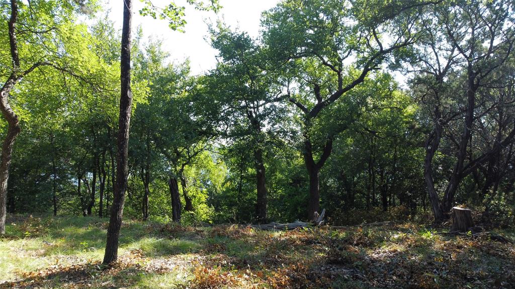 Canyon Creek II - Land