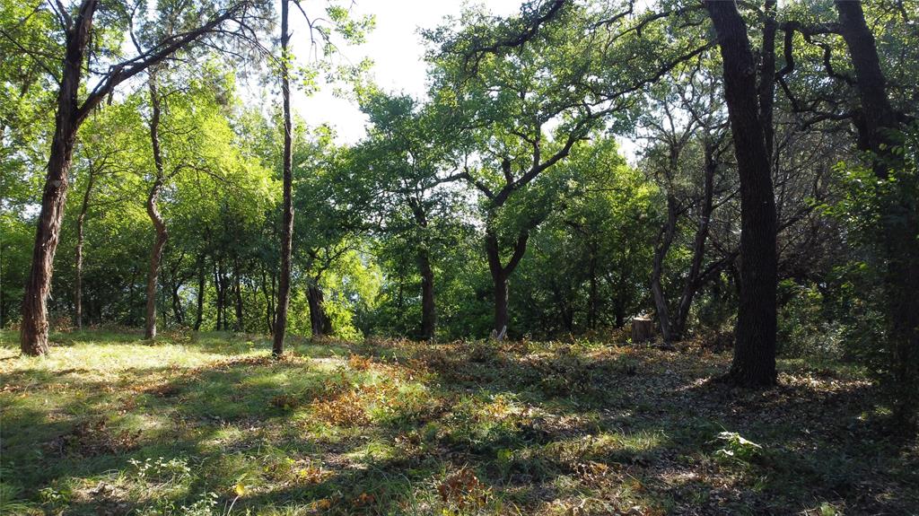 Canyon Creek II - Land