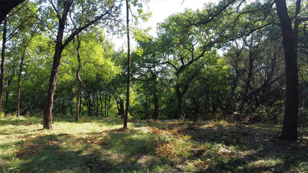 Canyon Creek II - Land