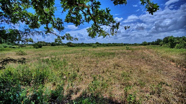1179 COUNTY ROAD 1470, CHICO, TX 76431 - Image 8b77ca7c0368fec63a708d2f1684cdc8/3925717356