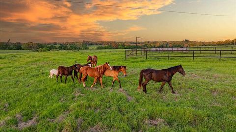 Tiny photo for 636 County Road 3330, Omaha, TX 75571 (MLS # 20922814)