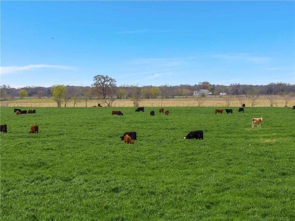 TBD CR 129 Road