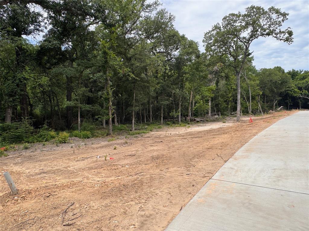 Lot 17 TBD Pardise Cove Road