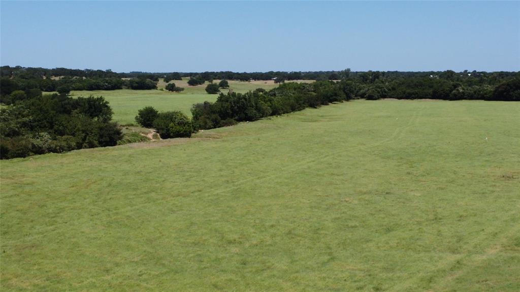 Brown Hugh Surv Tract 1 Abs 79 - Farm