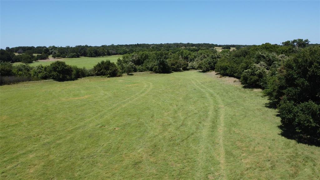 Brown Hugh Surv Tract 1 Abs 79 - Farm