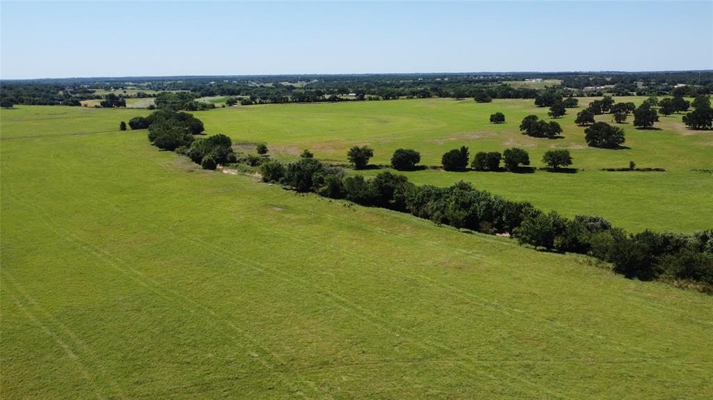 Brown Hugh Surv Tract 1 Abs 79 - Farm