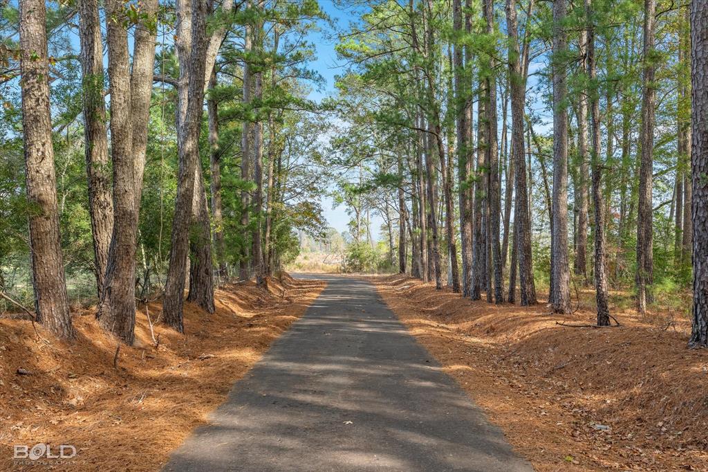 Logansport, Louisiana 71049, United States, ,Land,Active,245198