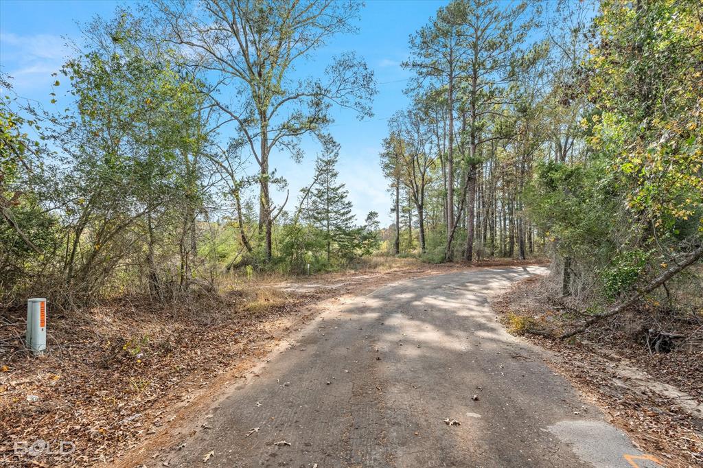 Logansport, Louisiana 71049, United States, ,Land,Active,245198