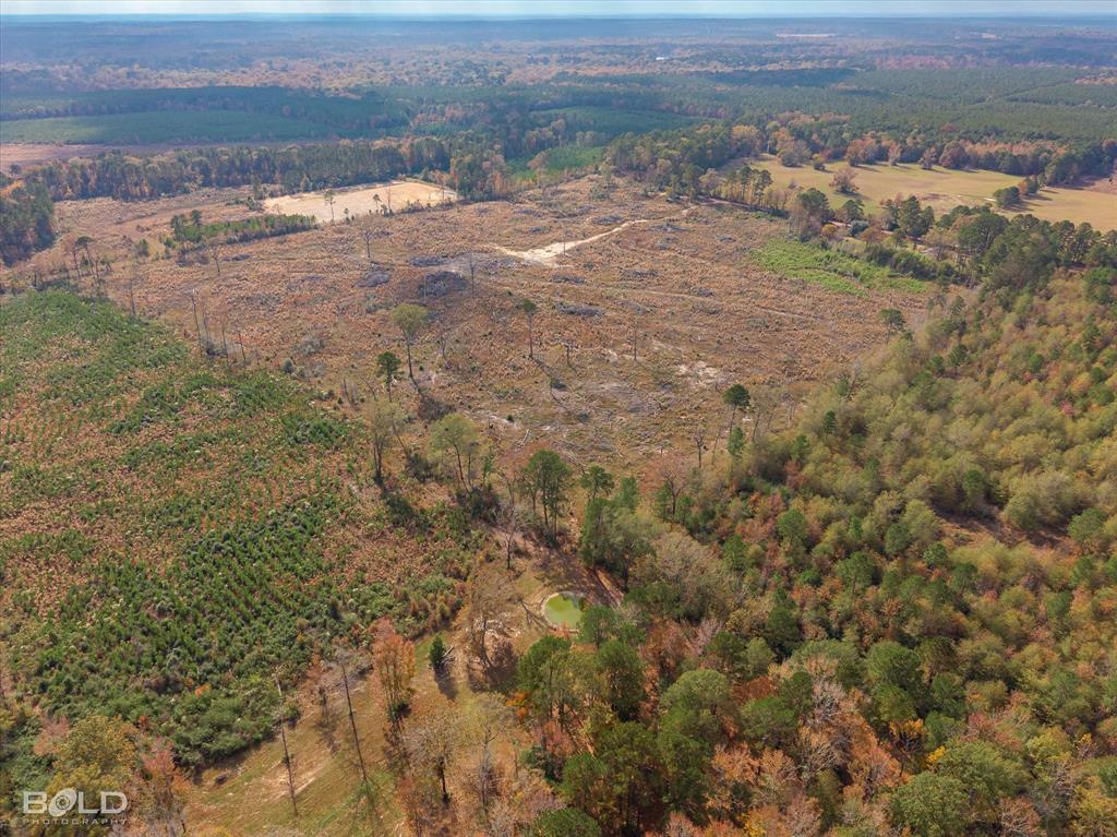 Logansport, Louisiana 71049, United States, ,Land,Active,245198