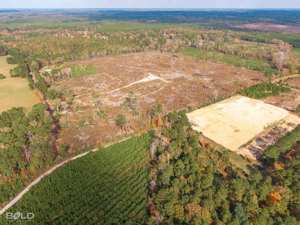 Logansport, Louisiana 71049, United States, ,Land,Active,245198