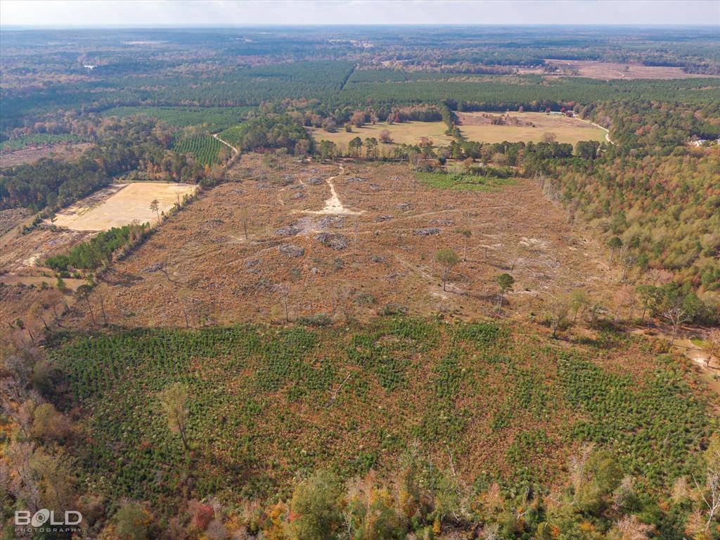 Logansport, Louisiana 71049, United States, ,Land,Active,245198