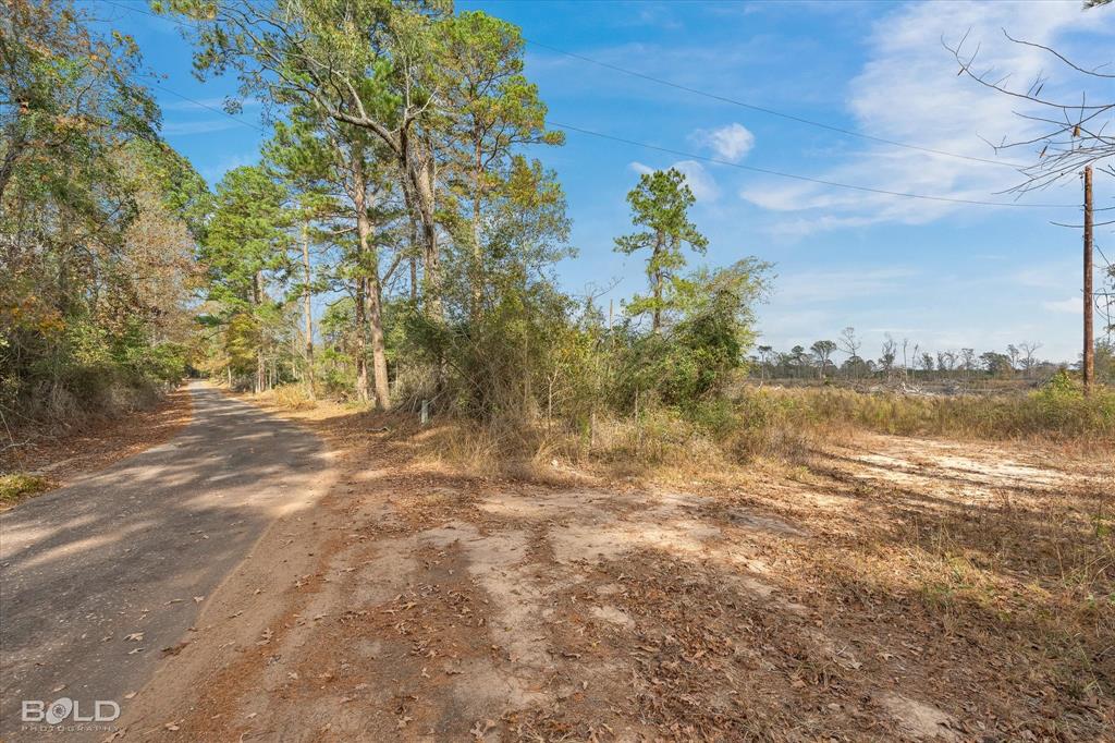 Logansport, Louisiana 71049, United States, ,Land,Active,245198